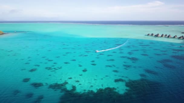 프랑스령 폴리네시아의 보라에서 방갈로와 보란에 청록색 석호입니다 호화롭고 낭만적 — 비디오