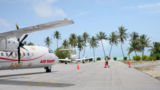 在法属波利尼西亚塔希提的Bora Bora Bora拥有当地飞机和棕榈树的机场 波拉波拉的跑道奢华的旅行 浪漫的出游 度蜜月 — 图库视频影像