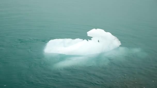 Jokulsarlon Glacier Lagoon Iceland Stunning Icebergs Floating Lagoon Powerful Message — Stock video