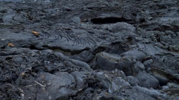 アイスランドのレイキャヤネス州ゲリンダディールで活動中の火山 ファグラダルフィオールのコールド 溶岩の4Kクローズアップ映像 冷たい溶岩の川丘を流れる — ストック動画