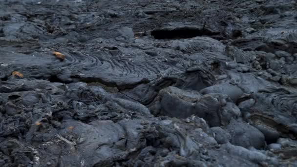 Знімки Холодної Лави Активному Вулкані Фаградальсфьяль Гельдінгадалі Рейк Янес Ісландія — стокове відео