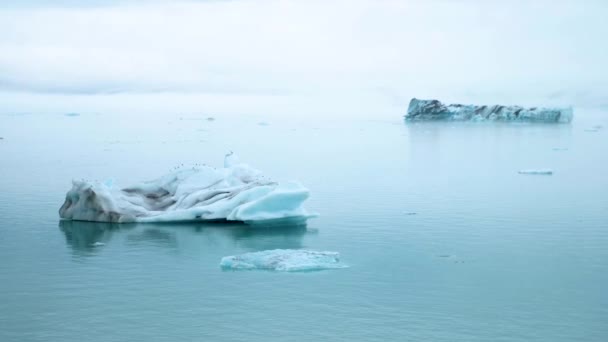 Jokulsarlon Glacier Lagoon Iceland Stunning Icebergs Floating Lagoon Powerful Message — Vídeo de stock