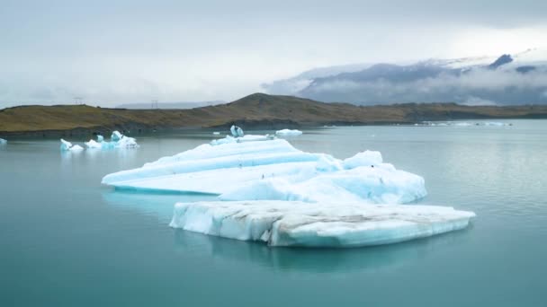 Jokulsarlon Glacier Lagoon Iceland Stunning Icebergs Floating Lagoon Powerful Message — 비디오