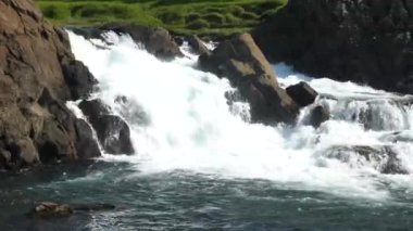 Yaz boyunca İzlanda 'da atlayan somon balığıyla Glanni Şelalesi. Yeşil yemyeşil çalıları olan büyülü İzlanda manzarası. Yüksek kalite 4k görüntü