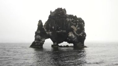 Hvitserkur kayası ya da okyanustaki kemer. İzlanda 'daki kayalıklar ve manzaralar. Yüksek kalite 4k görüntü.
