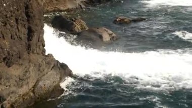 Yaz boyunca İzlanda 'da atlayan somon balığıyla Glanni Şelalesi. Yeşil yemyeşil çalıları olan büyülü İzlanda manzarası. Yüksek kalite 4k görüntü