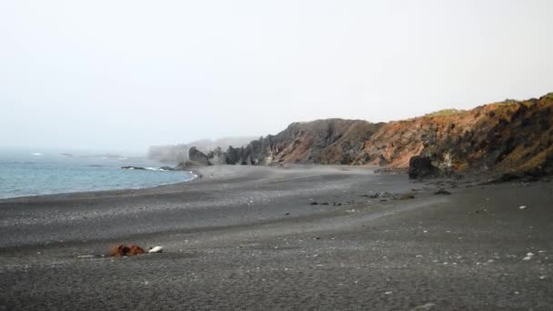Cliffs Landscape Arnarstapi Village Iceland Djupalonssandur Black Sand Beach High — Stock Video