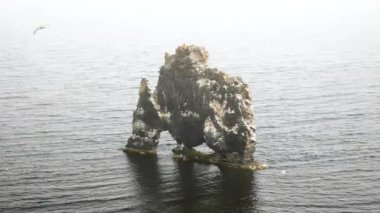 Hvitserkur kayası ya da okyanustaki kemer. İzlanda 'daki kayalıklar ve manzaralar. Yüksek kalite 4k görüntü.