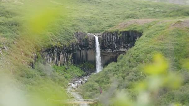 Svartifoss Waterfall Iceland Black Falls Located Skaftafell Vatnajokull National Park — Stok video