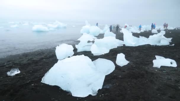 Diamentowa Plaża Islandii Góry Lodowe Czarnej Wulkanicznej Plaży Kawałek Lodu — Wideo stockowe