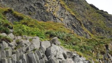 Puffins nests near Reynisfjara Beach, black sand beach near Vik in Iceland. Rocks and cliffs at ocean beach. Tourist spot on the south coast.