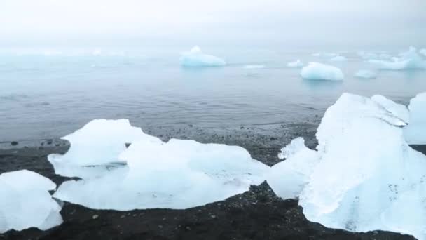 Diamond Beach Iceland Icebergs Black Volcanic Beach Chunk Ice Diamond — Stok video