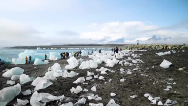 Diamond Beach Iceland Icebergs Black Volcanic Beach Chunk Ice Diamond — 图库视频影像