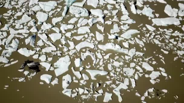 Imagens Aéreas Drones Lagoa Glaciar Fjallsarlon Com Muitos Icebergs Flutuando — Vídeo de Stock
