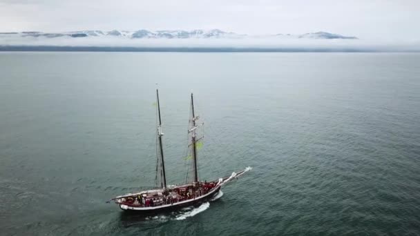 Повітряні Безпілотні Кадри Ісландського Вітрильного Човна Кит Спостерігає Хусавіком Влітку — стокове відео