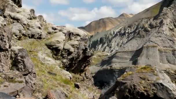 Ισλανδία Τοπίο Εκπληκτική Βουνά Γύρω Landmannalaugar Μος Κάλυψε Λιβάδια Λάβας — Αρχείο Βίντεο