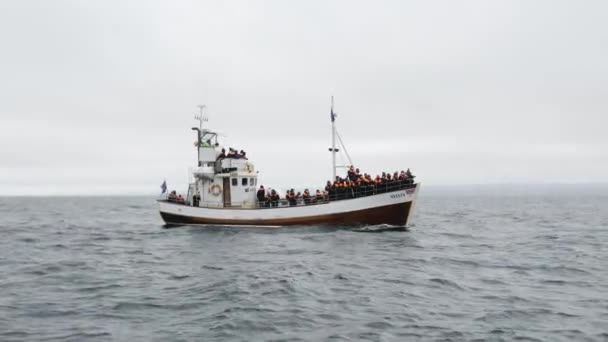Husavik Ijsland April Beelden Van Een Ijslandse Zeilboot Walvissen Kijken — Stockvideo