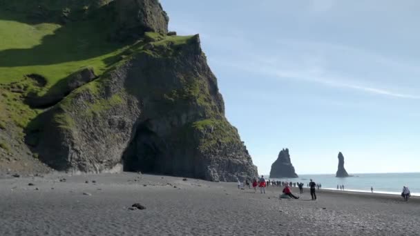Vik Islande Avril Rochers Falaises Plage Sable Noir Reynisfjara Près — Video