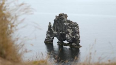 Hvitserkur kayası ya da okyanustaki kemer. İzlanda 'daki kayalıklar ve manzaralar. Yüksek kalite 4k görüntü.