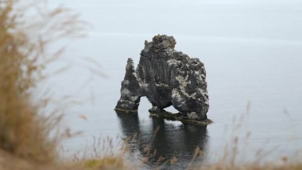 Hvitserkur Rock Arch Ocean Cliffs Landscape Iceland High Quality Footage — 비디오