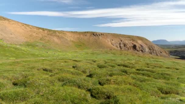 クラフラ火山アイスランド近くの緑の草原の4K映像 高画質映像 — ストック動画