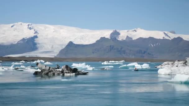 Jokulsarlon Glacier Lagoon Iceland Stunning Icebergs Floating Lagoon Powerful Message — Stock Video