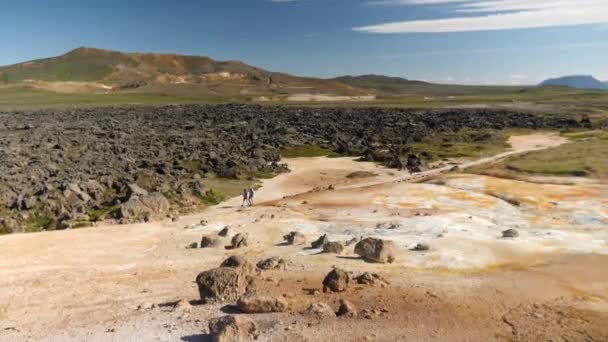 Imágenes Lava Fría Cerca Del Volcán Krafla Islandia Imágenes Alta — Vídeo de stock