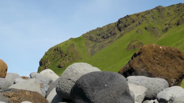 Skały Klify Plaży Reynisfjara Koło Vik Islandii — Wideo stockowe