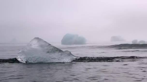 Алмазный Пляж Исландии Крупный План Гигантского Тающего Айсберга Черном Вулканическом — стоковое видео