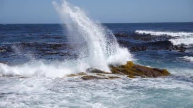 Cape Peninsula, Cape Town, Güney Afrika 'daki Rocky uçurumlarındaki dalgaların yavaş çekim görüntüleri. Cape Point Doğa Koruma Alanı. Özel bir fauna ve bitki örtüsü var..