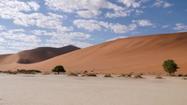Sossusvlei 'de kırmızı çöl kum tepecikli kuru kil tavası ya da Namibya' da Susriem. Namib Çölü ve Deadvlei 'deki Büyük Baba kumulları. Mavi gökyüzü ve küçük bulutlu turuncu çöl. 4K Sinematik Görüntüler.