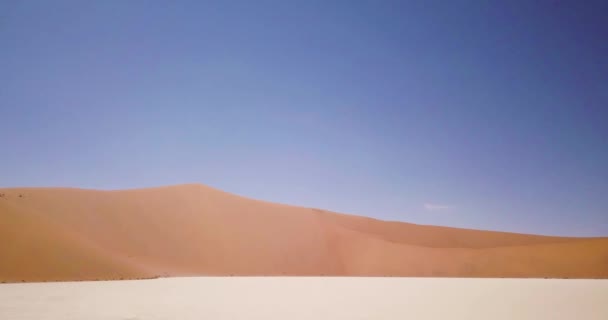 Deadreiの死んだアカシアの木の空中ドローン映像 ソススススヴレイの赤い砂漠の砂丘やナミビアのセサリームと乾燥した粘土鍋 ナミビア砂漠とビッグダディ砂丘 映画高品質の映像 — ストック動画