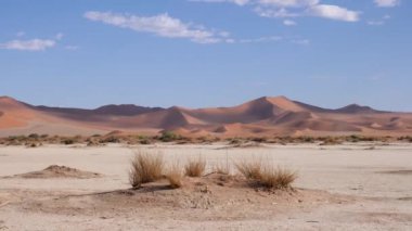 Sossusvlei 'de kırmızı çöl kum tepecikli kuru kil tavası ya da Namibya' da Susriem. Namib Çölü ve Deadvlei 'deki Büyük Baba kumulları. Mavi gökyüzü ve küçük bulutlu turuncu çöl. 4K Sinematik Görüntüler.