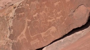 Damarand Namibya 'daki Twyfelfontein' deki piramitlerden daha eski kaya aşermeleri. Hayvanlar kaya tabloları. Yüksek kalite 4k görüntü