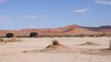 Sossusvlei 'de kırmızı çöl kum tepecikli kuru kil tavası ya da Namibya' da Susriem. Namib Çölü ve Deadvlei 'deki Büyük Baba kumulları. Mavi gökyüzü ve küçük bulutlu turuncu çöl. 4K Sinematik Görüntüler.