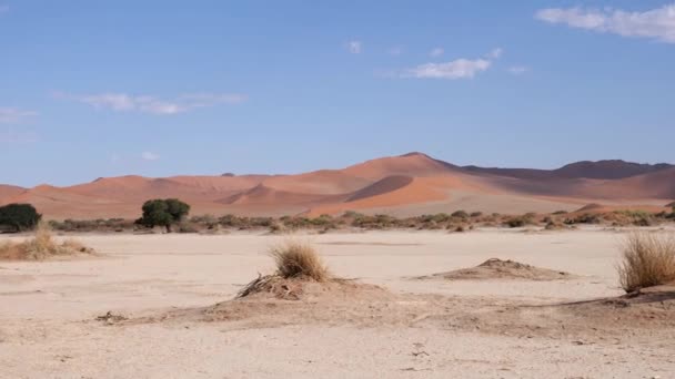 Sossusvlei或纳米比亚Sesriem有红色沙漠沙丘的干粘土盘 纳米布沙漠和大爸爸沙丘在Deadvlei 橙色的沙漠 4K电影镜头 — 图库视频影像