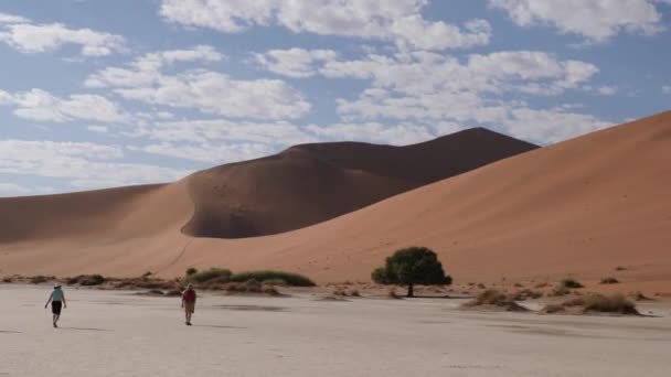 ナミビアのソスヴェレア 5月24日 23日 ナミビアのソサスヴェレアまたはセシュガルで赤い砂漠の砂丘で乾燥した粘土パンを歩く小さなグループ ナミブ砂漠とビッグ ディーン デッドビアス 4K映像について — ストック動画