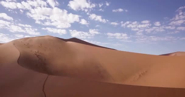 纳米比亚Sossusvlei的4K无人驾驶飞机镜头 位于纳米布沙漠南部的Deadvlei的空中景观 大爸爸沙丘 电影高质量的镜头 — 图库视频影像