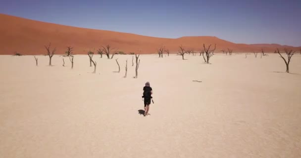 Nagranie Drona Chodzącego Człowieka Pobliżu Martwych Drzew Akacjowych Deadvlei Sucha — Wideo stockowe