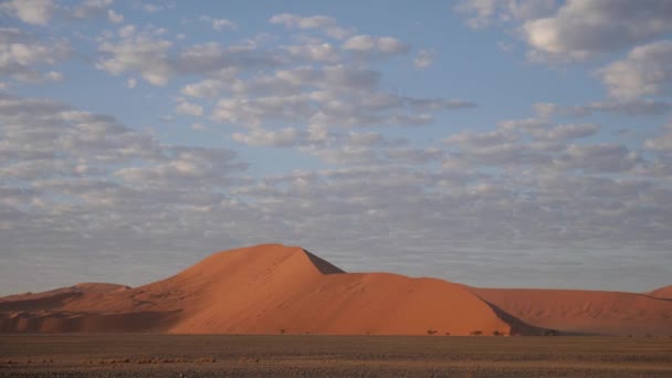 Dune Sossuvlei Namibia 纳米比亚的巨大沙丘 高质量的4K镜头 — 图库视频影像