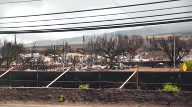 Lahaina 'nın etrafındaki Maui yangınları yıkıcı. Lahaina, Maui, Hawaii 'de rüzgârla savrulan orman yangını. Yol kapalı. Yangından sonra şehir. Yanmış evler. 4K görüntü.