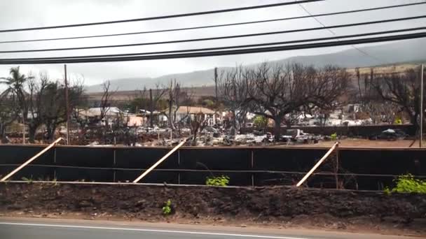 Niszczycielskie Pożary Maui Wokół Lahainy Pożar Wiatru Lahaina Maui Hawajach — Wideo stockowe