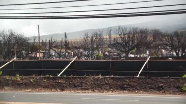 Lahaina 'nın etrafındaki Maui yangınları yıkıcı. Lahaina, Maui, Hawaii 'de rüzgârla savrulan orman yangını. Yol kapalı. Yangından sonra şehir. Yanmış evler. 4K görüntü.