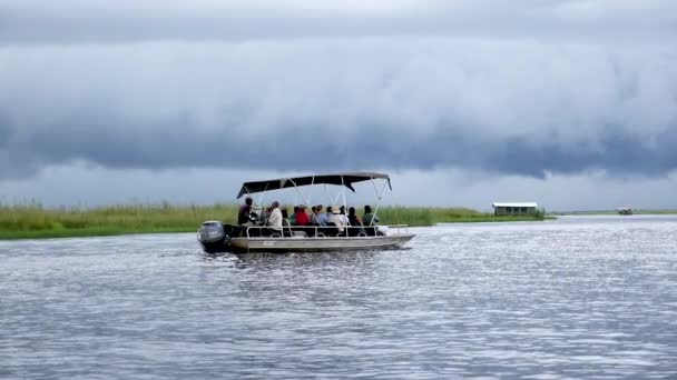 ボツワナ チェボ 10月 劇的な空とボツワナのチェボ川のボートでゲームドライブ アフリカのワイルドサファリ Safariに乗りました ゲームドライブ 快適な4Wdオープンで野生生物を見る — ストック動画