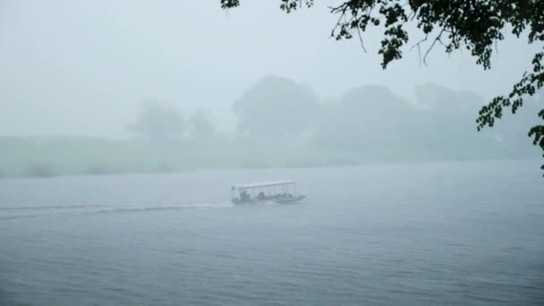 ボツワナ チェボ 10月24日 23日 ボツワナのチェボ川で激しい雨の間にボートでゲームドライブ アフリカのワイルドサファリ Safariに乗りました ゲームドライブ 快適な4Wdオープンカーで野生生物観察 — ストック動画