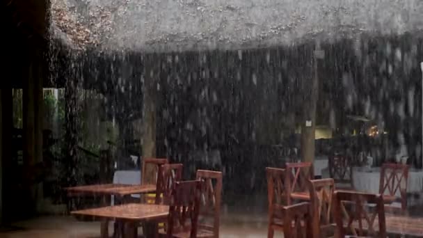Pluie Abondante Ralenti Dans Loge Africaine Chute Des Gouttes Pluie — Video