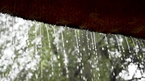 Silny Deszcz Zwolnionym Tempie Afrykańskim Domku Spadające Krople Deszczu Zwolnionym — Wideo stockowe