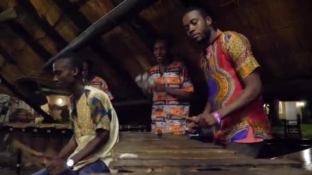 Victoria Falls Simbabwe September Lokaler Stamm Spielt Auf Trommeln Und — Stockvideo