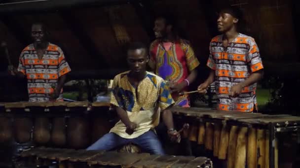 ジンバブエ ビクトリアフォールズ 9月24日23日 アフリカのロッジ ジンバブエ アフリカのドラムとマリンバで地元の部族がプレー — ストック動画