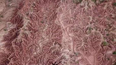 Güney Amerika, Kolombiya 'daki Tatacoa çölünün insansız hava aracı görüntüleri. Kırmızı kil kanyonu. İnsansız hava aracı kayalara yakın uçuyor. Çölün üzerinde uçmak. Yüksek kalite 4k görüntü.